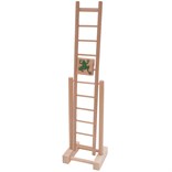 Ladder with frog