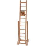 Ladder with parrot